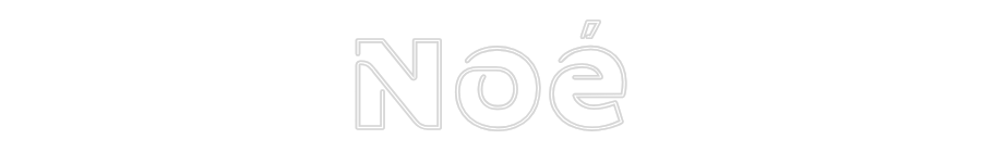 Custom Neon: Noé