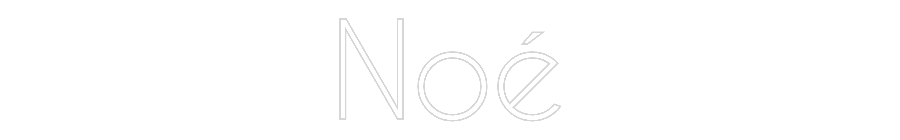 Custom Neon: Noé