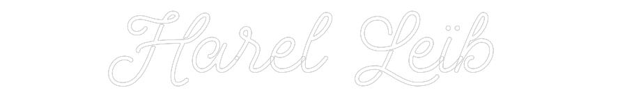 Custom Neon: Harel Leïb