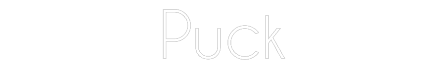 Custom Neon: Puck