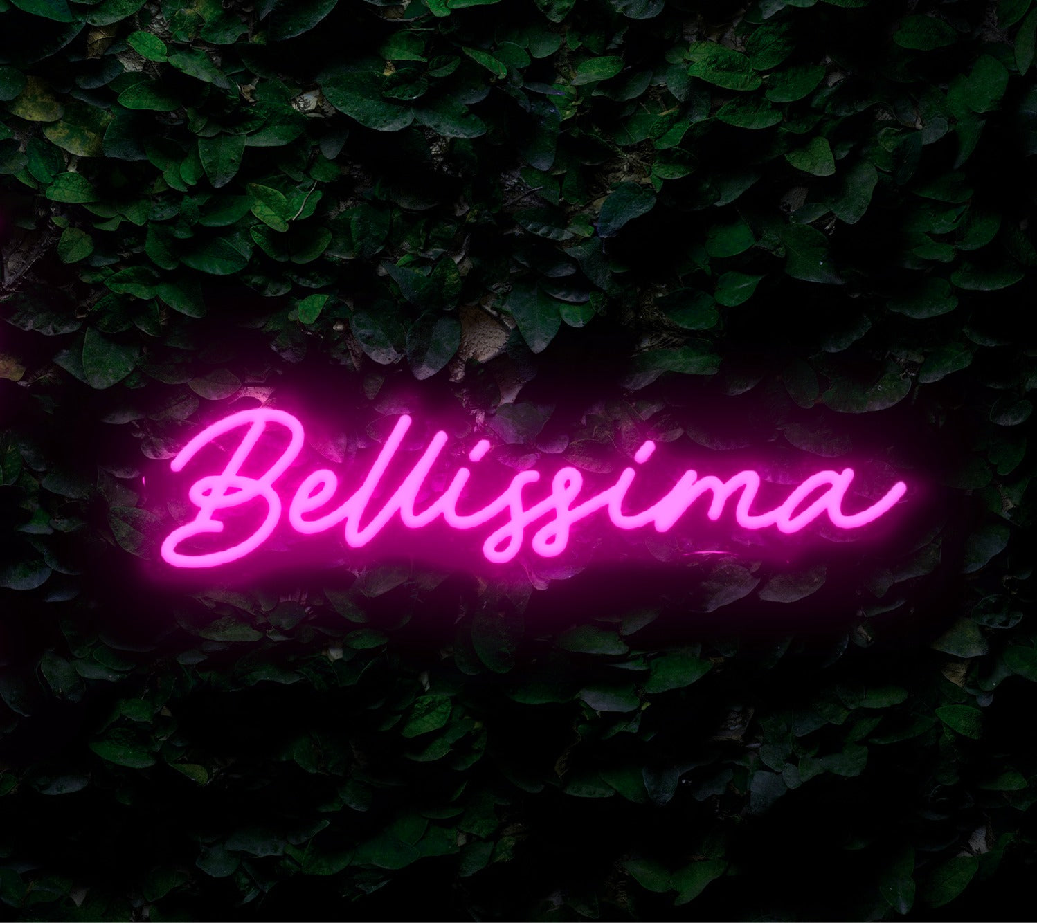 Neon Bellissima