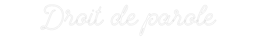 Custom Neon: Droit de parole