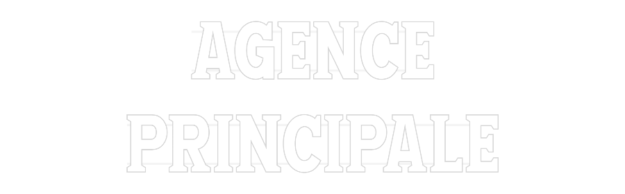 Custom Neon: AGENCE
PRINC...