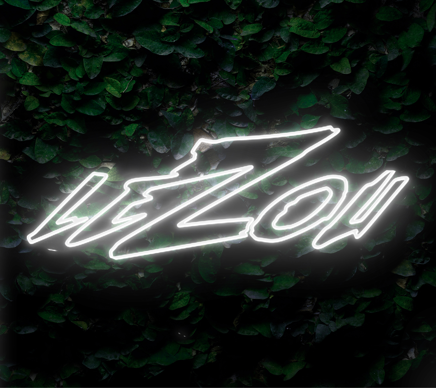 Neon Personnalisé LeZou