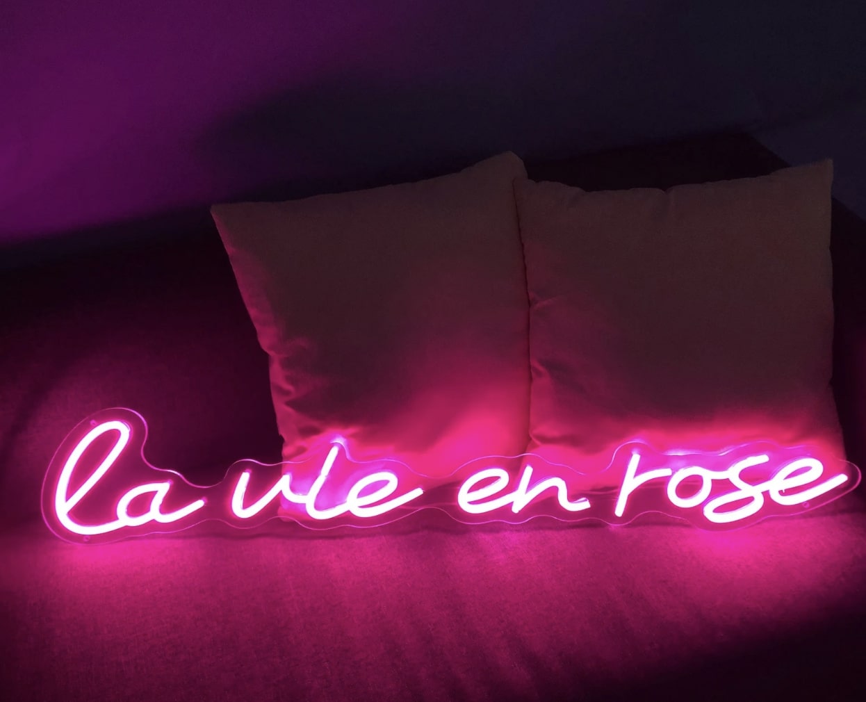 Neon la Vie en Rose