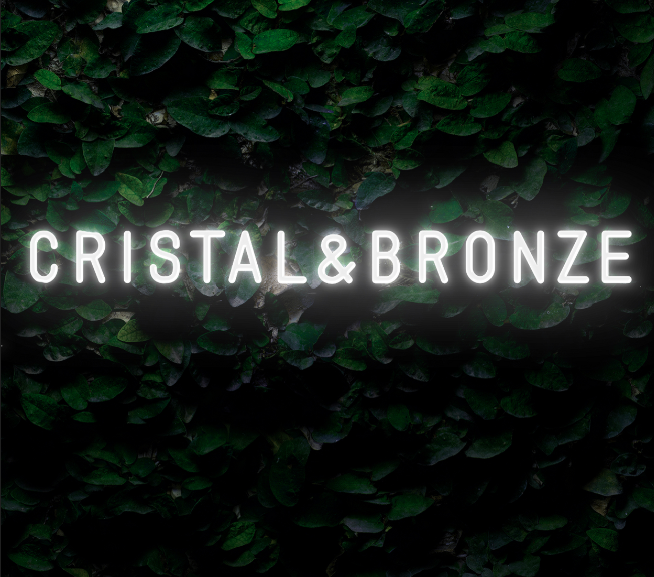 Néon Personnalisé Cristal & bronze