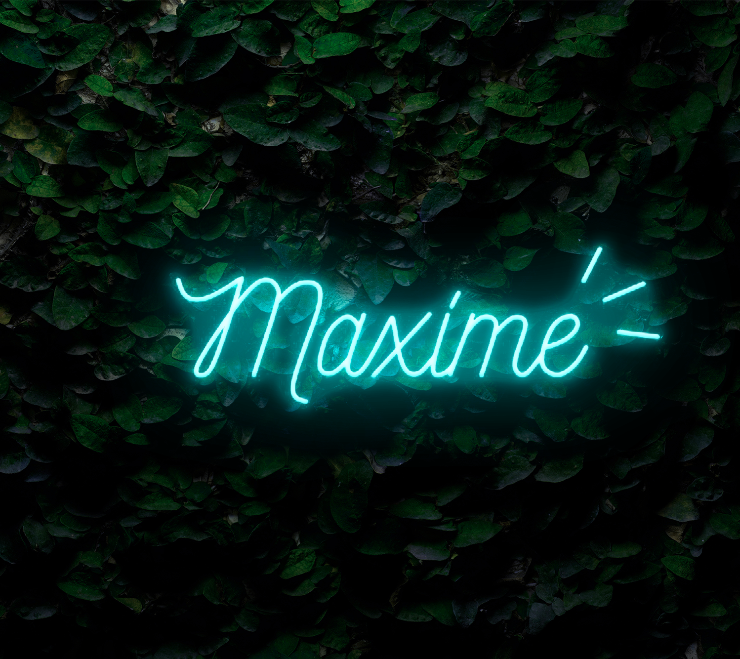 Neon Personnalisé Maxime
