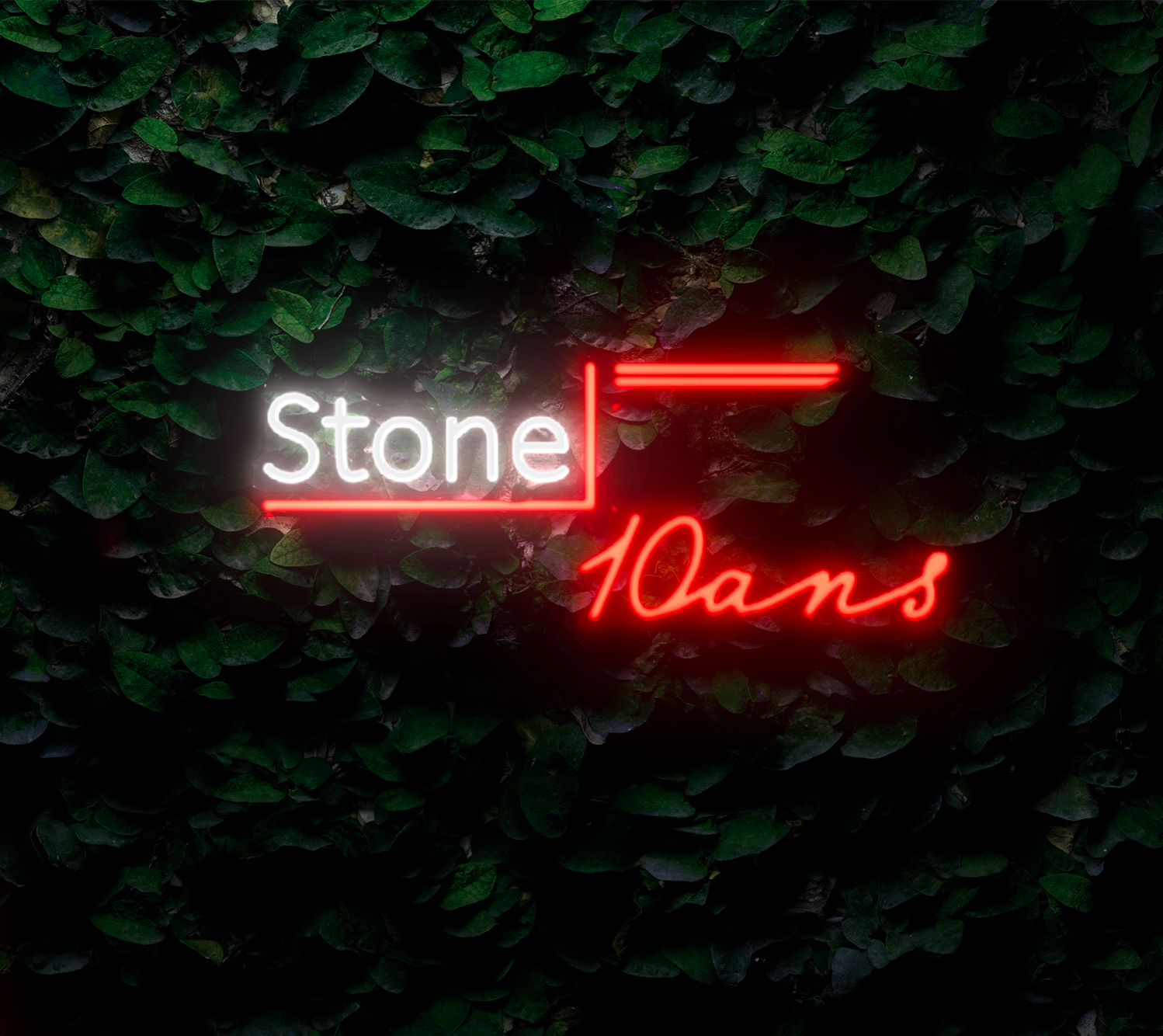 Neon Personnalisé Stone Leaf